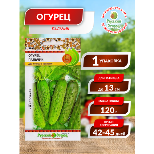 ���� ������. ������ 