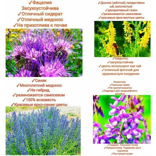 ���� ����� ���������� ����/���������,800��(������+�������+�����+���������) ������ ������