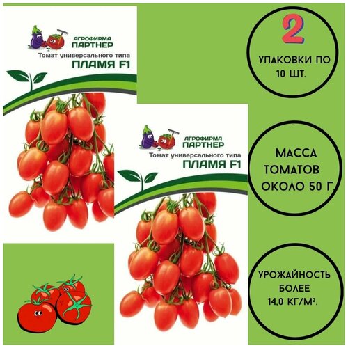 ���� ������ ������ ��������� 