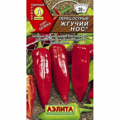 ���� ������ ����� ������ ������ ���, ������������, (������) 20�� ������ ������