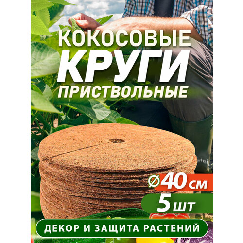���� ������������ ���� �� ���������� ������� ������� 40 ��, 5 ���� ������ ������