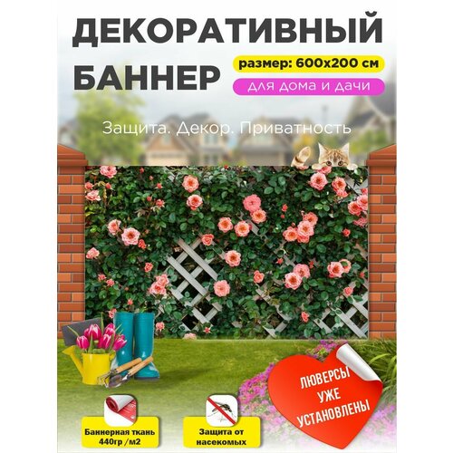 ���� ��������� ������ �� ����� � ��������� 600�200 �� ������ ������