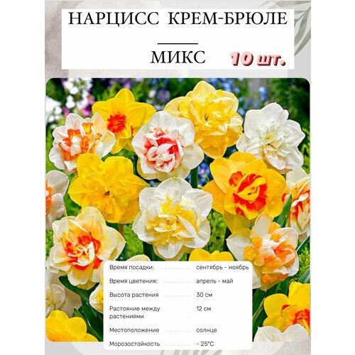 ���� ������� ���������� ����� 10 �� ������ ������