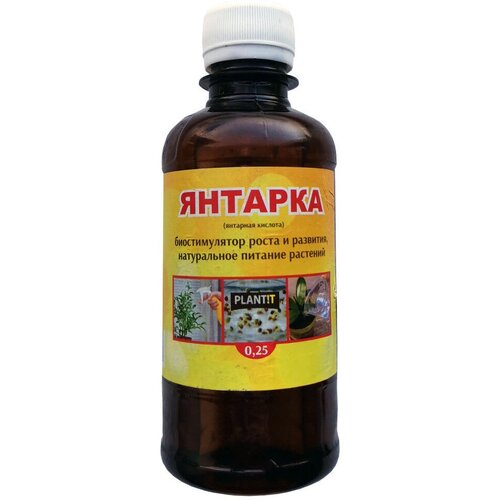 ���� ��������� �������� ������� 