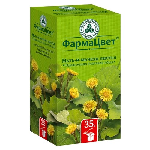 ���� ���������������������� ������ ��������� ����-�-������, 35 � ������ ������