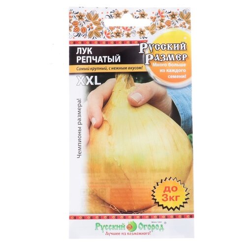 ���� ������ ������� ������ ��� �������� ����� ������� ������ 100 �� ������ ������