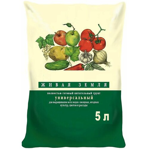 ���� ���������� ����� ����� 5� ��������� ������ ������