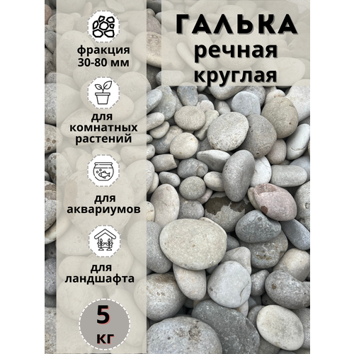 ���� ������ ������ ������� 30-80 �� (5��) ��� ���� � ������� � ������������ ������� ������ ������