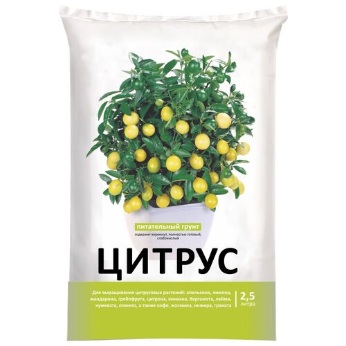 ���� ����� ���-���� ��� ��������, 2.5 �, 2.5 �� ������ ������