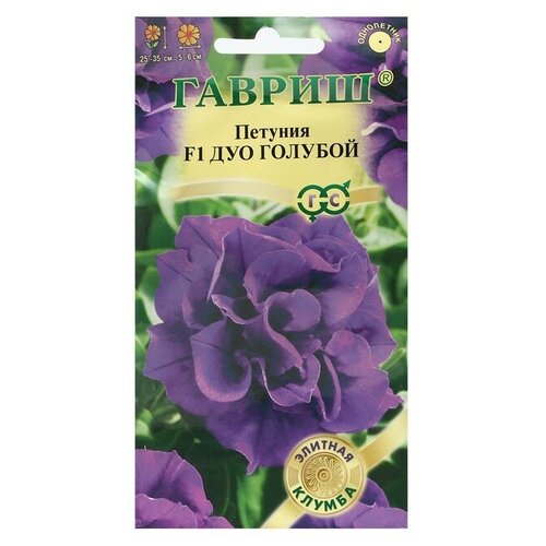 ���� ������ ������ ������� 