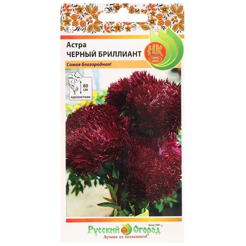 ���� ������ ������� ������ ����� ������ ��������� 50 ��., 2 ��. ������ ������