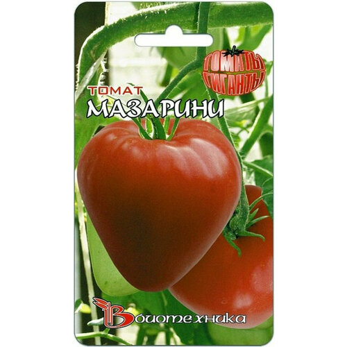 ���� ������ ����� �������� 20�� ��� (��������� ������) ������ ������