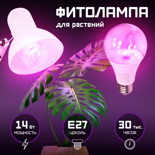    ,       LED,   UVA +IR -  ( ), ,14 , 27   -     , -, 