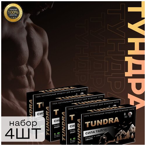 ���� ������ ������� ����������� ������, 20 ������, 4�� ������ ������