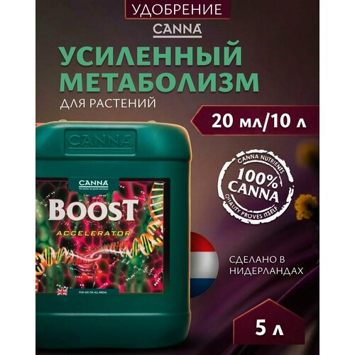 ���� ��������� ��� ��������� ����������� �������� Canna Boost Accelerator 5 �. ������ ������