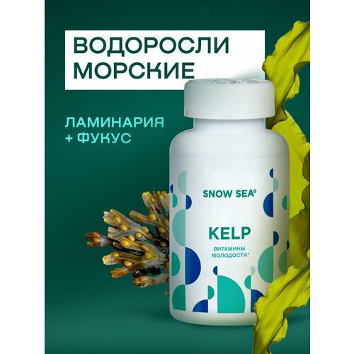 ���� Kelp ��������� � ��������� (��������� � �����) ��1918, 224 ���. ������ ������