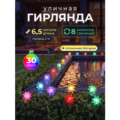 ���� ������������ �������� � ����� ������ ������ �� ��������� ������� 30 ���� 6,5 ����� ������ ������