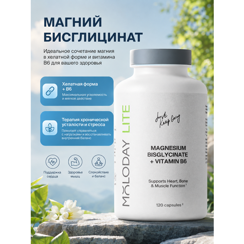���� ������ ����������� �� MOLODAY 