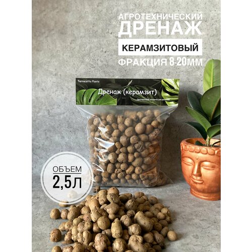 ���� �������� ��� �������� 2,5 ������, ������ ��� ������ Terracotta Plant, ��� ��������� ��������, ������� 10-20�� ������ ������