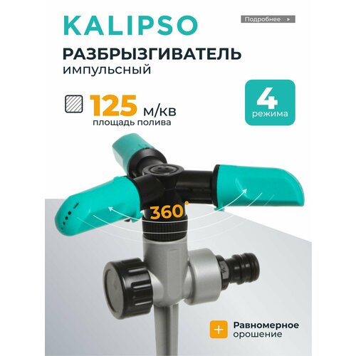 ���� Kalipso ��������������� ���������� ���������������, 4 ������ ������ ������