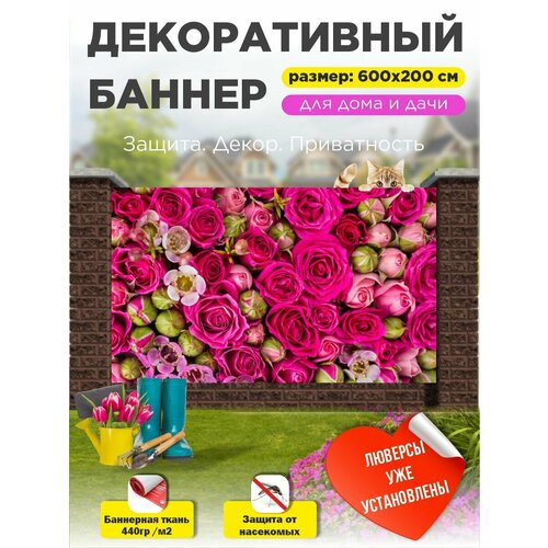 ���� ��������� ������ �� ����� � ��������� 600�200 �� ������ ������