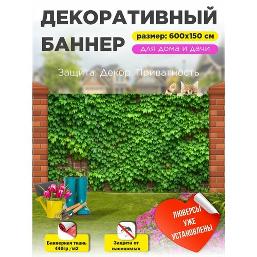 ���� ������������ ����� ������ ��������� 600 �� � 150 �� � ��������� ������ ������