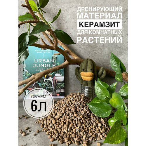 ���� �������� ��� �������� 6 ������, ������ ��� ������ Terracotta Plant, ��� ��������� ��������, ������� 4-10�� ������ ������