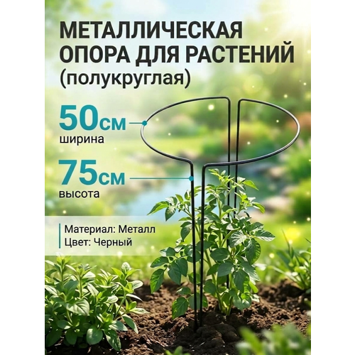 ���� �������������� ��� �������� ����� ��������� ��������� ����� ��� ������ ������������� ������ 50�� ������ 75 �� ������ ������
