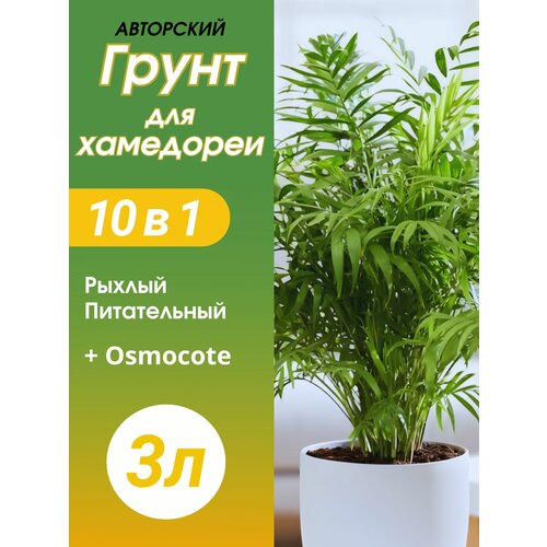���� ����� ��� ��������� 3� ������� ������ ������