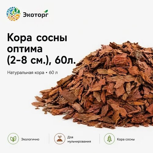 ���� ������ �� ���� ��������� ����� ������� 2-8 �� �������� �� 10 ������ �� 60 � ������� ������ ������