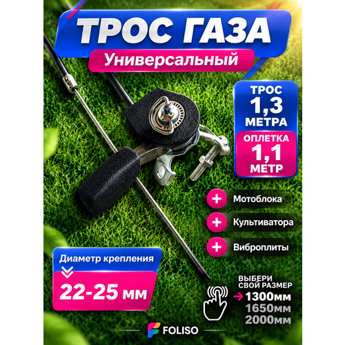 ���� ���� ���� � ������ 1100/1300 ��� ���������, ������������, ���������� (�������������). ������ ������