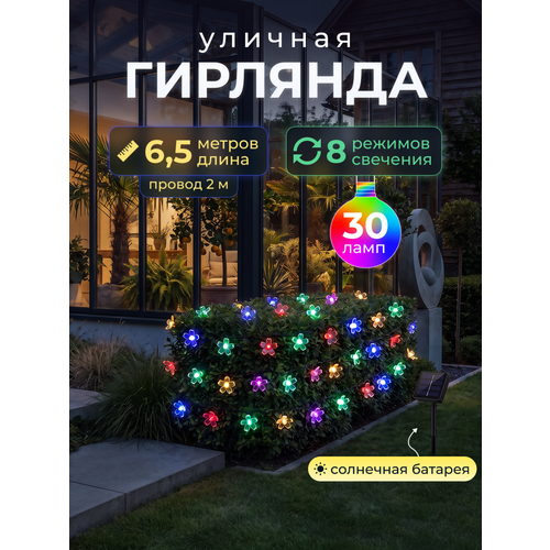 ���� ������������ �������� � ����� ��������� �� ��������� ������� 30 ���� 6,5 ����� ������ ������