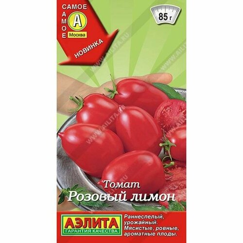 ���� ������ ����� ������� �����, ������������, �����������, (������) 20�� ����� ����� ������ ������