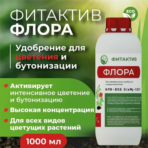 ���� ��������� ��� ����� ������� � ������� �������� ����� (������ 1 �.) ������ ������