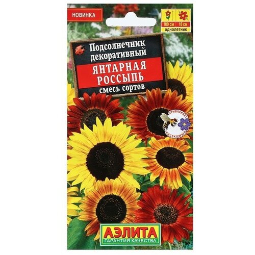 ���� ������ ������ ������������ ������������ 