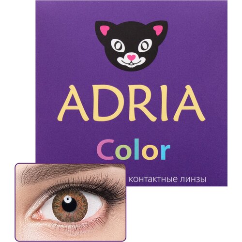    ADRIA Color 3 tone, 2 ., R 8,6, D -9, honey, 1 .   -     , -, 