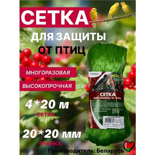 ���� ����� �� ���� ��� �������� �������� ������ �������� ������� 4�20 ������ ������