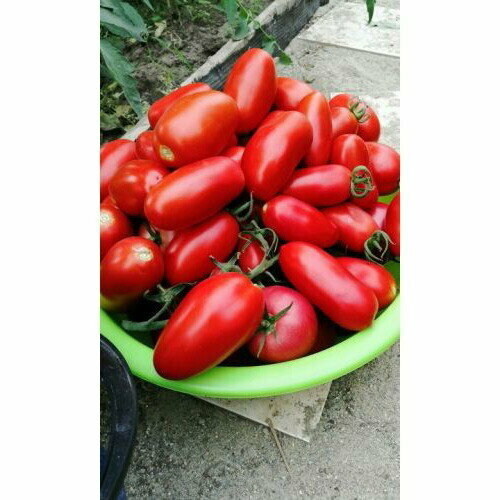 ���� ������ ����� ��������������� �������������� (��) �/� ������ ������