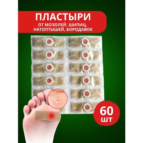 ���� �������� �������� �� ����� �������, ����� 60 �� ������ ������