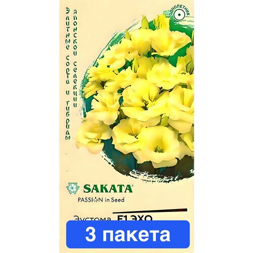 ���� ����� ������� ��� ������ F1 3 ������ ������ ������