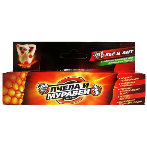 ���� ����-������� �������� ����� � �������, 52 �, 44 �� ������ ������