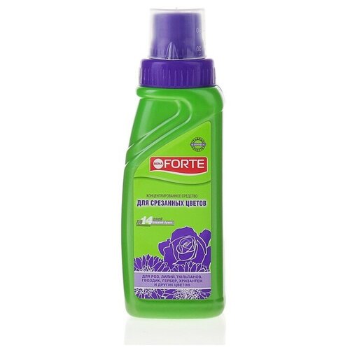 ���� �������� ���� ����� ��� ���������� �������� ��������� ������, ������ 285 �� ������ ������