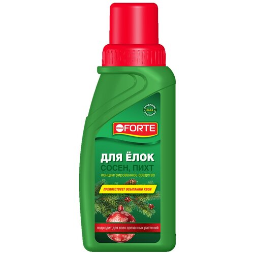 ���� �������� ��� ��������� ����� ���������� ����, ����, ���, 285 �� ������ ������