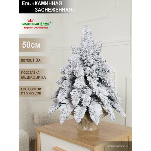 ���� ���� ������������� ���������� ����������� ���������� 50�� ������ ������