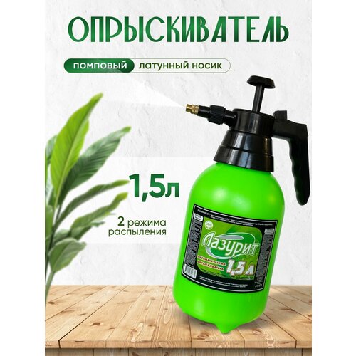 ���� �������������, ������������� ������� 1,5 � ������� ������ ������