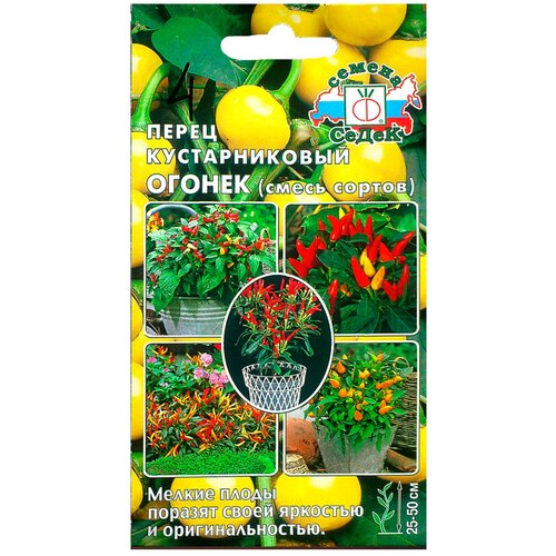 ���� ������ ����� ����� ������������� ������ ����� ������ ������