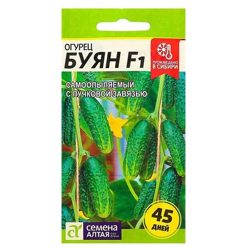 ���� ������ ������ 