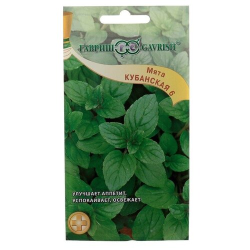 ���� ������ ������ ���� �������� 