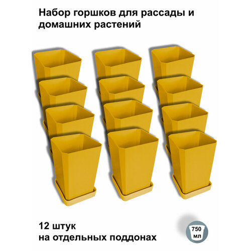 ���� ������ ��� ������� � ������, 12 ���� �� ��������� ��������, ������ ������ ������