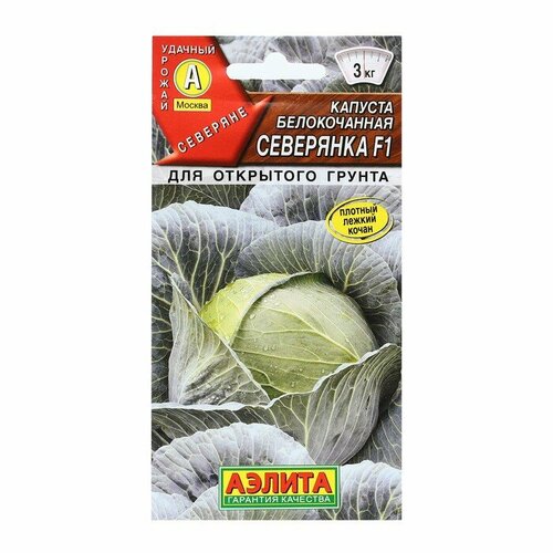 ���� ������ ������� �/� 